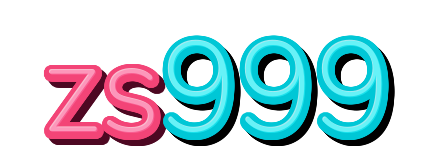 zs999 — logo kanal